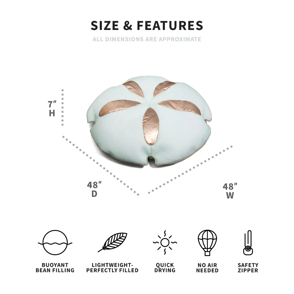 Sand Dollar - Image 2